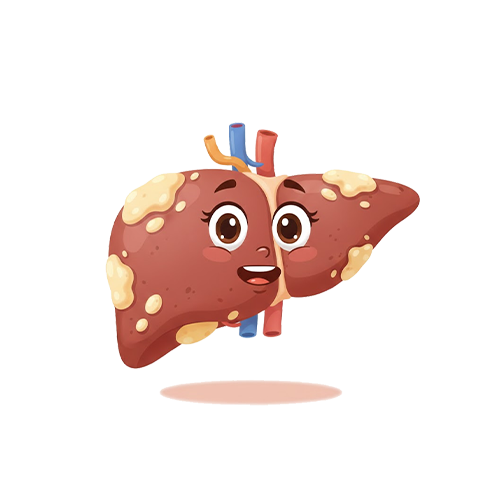 Fatty Liver