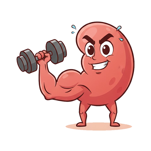 Gain weight/muscle building