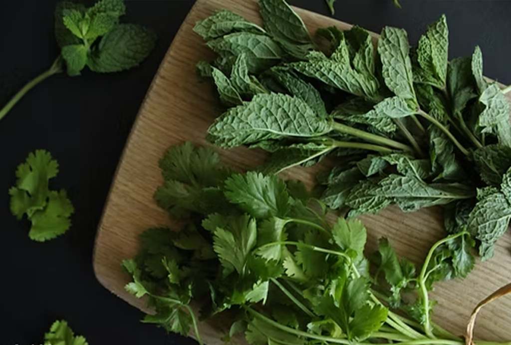 Fresh Pakistani herbs and spices like dhania, podina, zeera – flavorful ways to reduce salt intake – Hamza The Dietitian