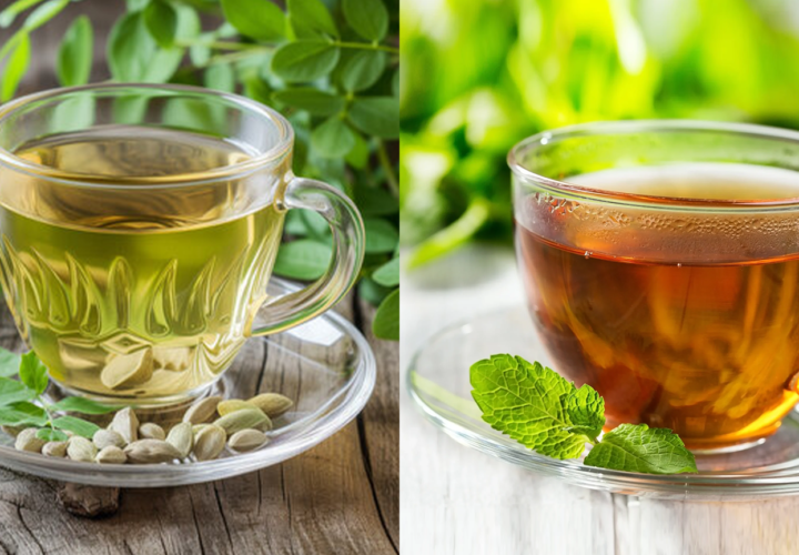 Moringa tea vs green tea